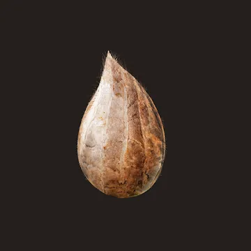 Toca Life: Hospital(Unlocked all)1.2-play_playmods.io