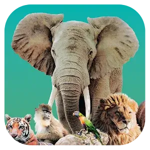 Toca Life: Hospital(Unlocked all)1.2-play_playmods.io