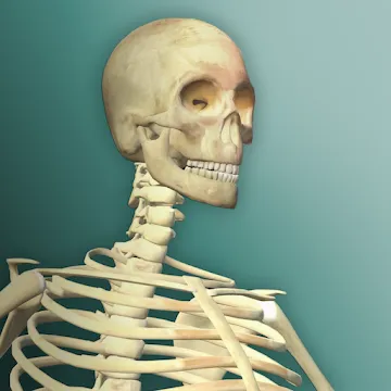 Toca Life: Hospital(Unlocked all)1.2-play_playmods.io