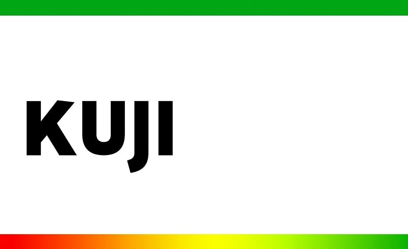 Toca Life: Hospital(Unlocked all)1.2-play_playmods.io