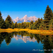 Toca Life: Hospital(Unlocked all)1.2-play_playmods.io