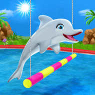 My Dolphin Show