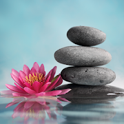 Toca Life: Hospital(Unlocked all)1.2-play_playmods.io