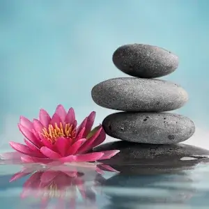 Toca Life: Hospital(Unlocked all)1.2-play_playmods.io